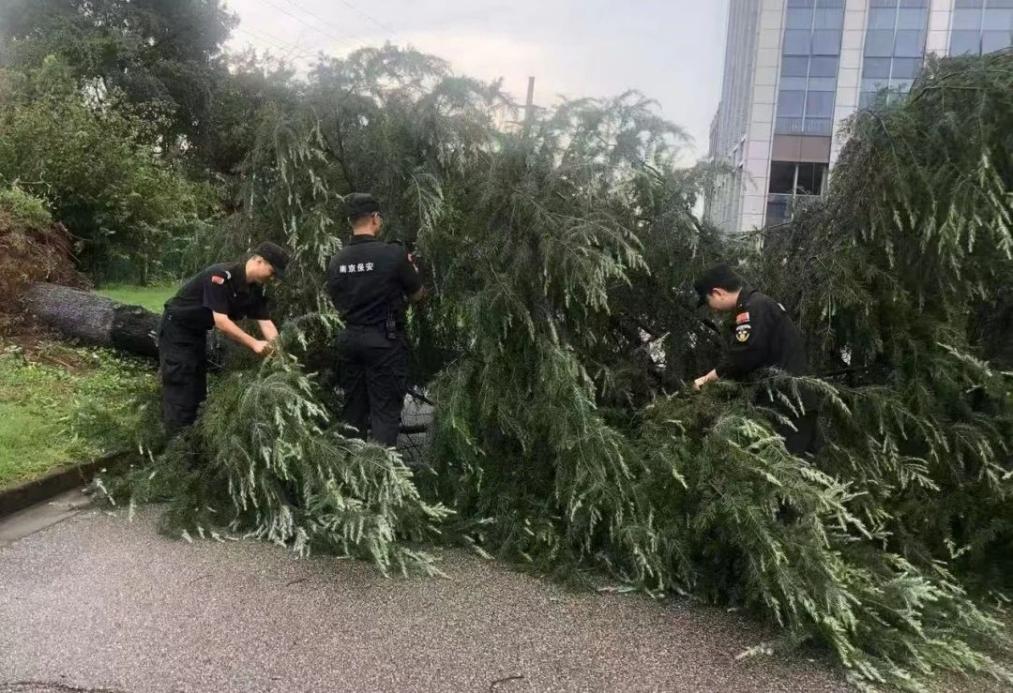 C:/Users/BA/Desktop/風(fēng)雨過后南京保安迅速行動(dòng)，恢復(fù)安“寧”面貌/1.jpg1